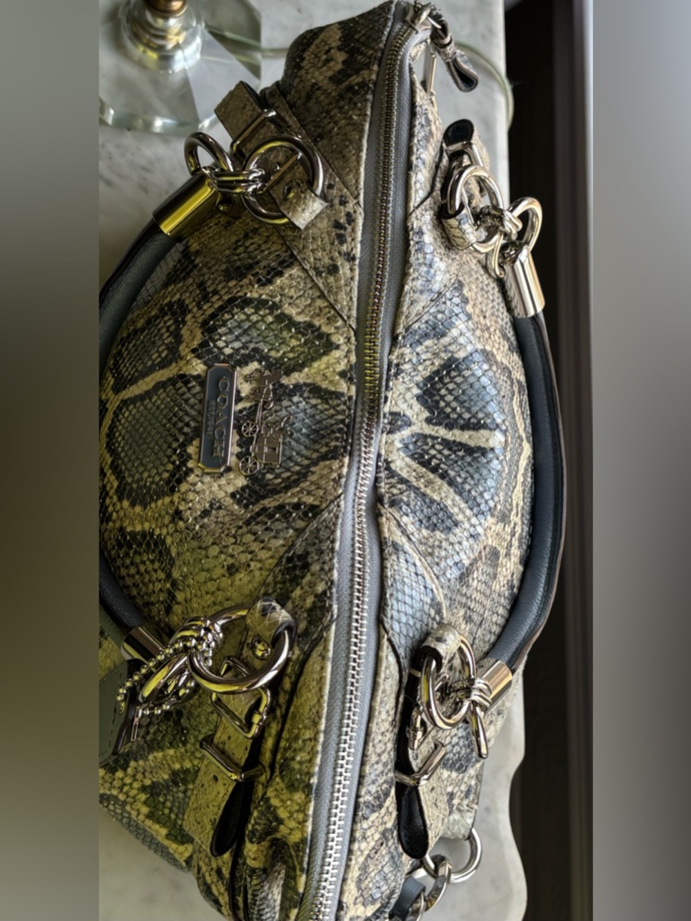 Coach Python-Print Leather Shoulder Bag in Blue, Gray and Cream - Picture 3 of 15
